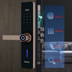 Chức năng khóa vân tay cửa gỗ Kadol FP19