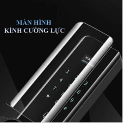 Màn hình khóa vân tay cửa gỗ Kadol FP29