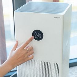 Máy lọc không khí bù ẩm Xiaomi Gen 4 Lite