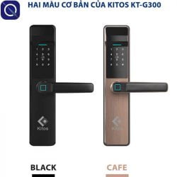 Hai màu cơ bản của Kitos G300