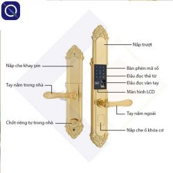 Cấu tạo khoá vân tay mạ vàng cho biệt thự
