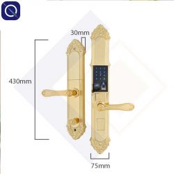 Kích thước khoá vân tay mạ vàng