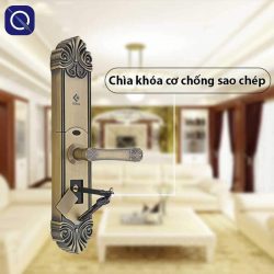 Chìa cơ chống sao chép ở khoá vân tay cho biệt thự C200