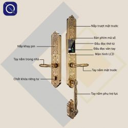 Khoá vân tay cổ điển mạ vàng Kitos